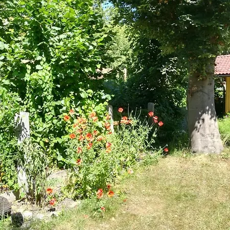 Planaiperle Apartment *