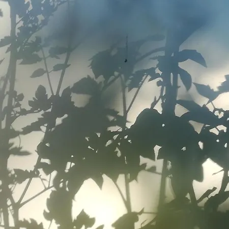 Planaiperle アパート シュラートミンク