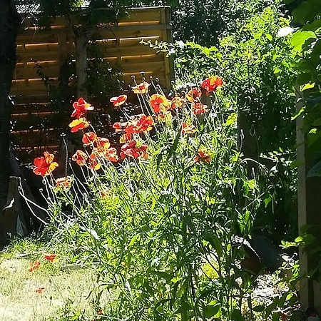 Planaiperle アパート *