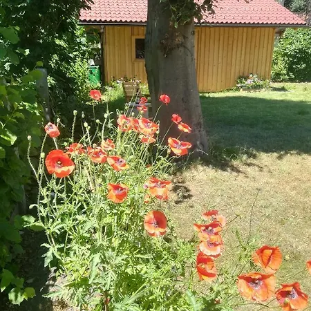 Apartment Planaiperle Schladming