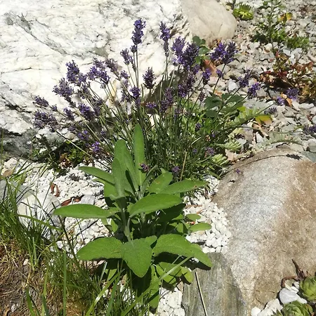 Apartamento Planaiperle *