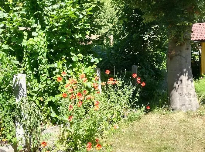 Planaiperle شقة *