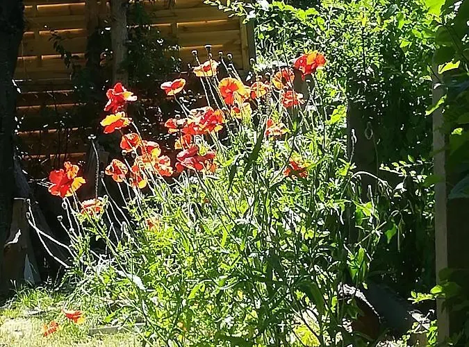 Planaiperle 公寓 *