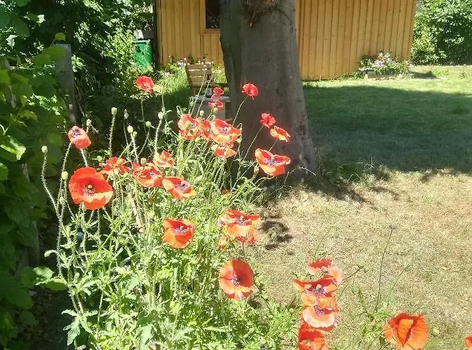 شقة Planaiperle سخلادميخ